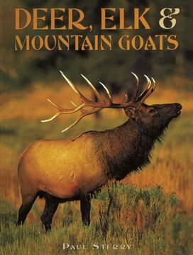Deer, Elk & Mountain Goats Deer, Elk & Mountain Goats