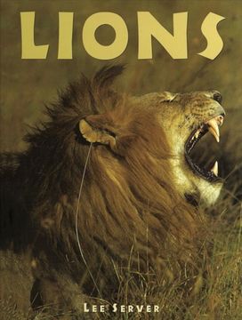 Lions Lions