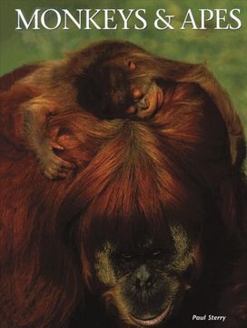 Monkeys & Apes Monkeys & Apes