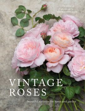 Vintage Roses