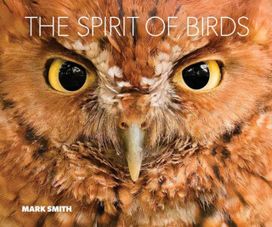 Spirit of Birds