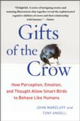Gifts of the Crow Gifts of the Crow
