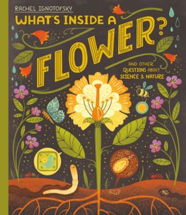 What's Inside a Flower? What's Inside a Flower?