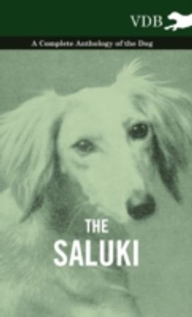 The Saluki - a Complete Anthology of the Dog The Saluki - a Complete Anthology of the Dog