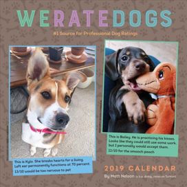 We Rate Dogs 2019 Square Wall Calendar We Rate Dogs 2019 Square Wall Calendar