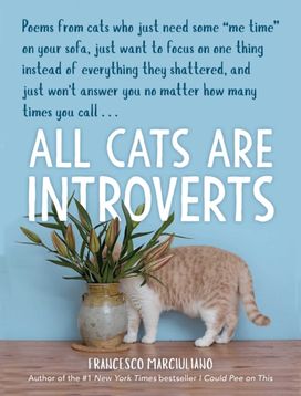 All Cats are Introverts