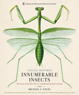 Innumerable Insects Innumerable Insects