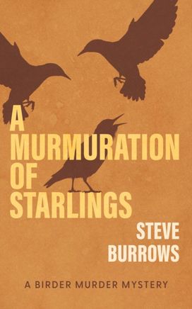Murmuration of Starlings