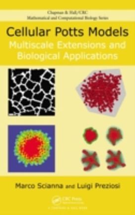 Cellular Potts Models