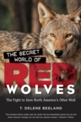 Secret World of Red Wolves Secret World of Red Wolves