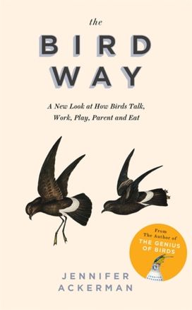 The Bird Way