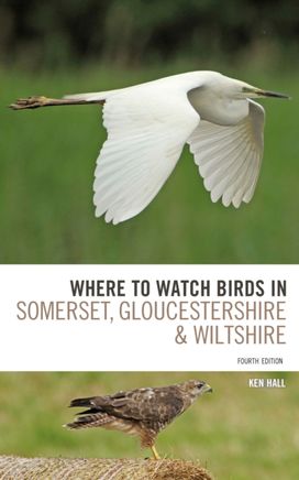 Where to Watch Birds in Somerset, Gloucestershire and Wiltshire Where to Watch Birds in Somerset, Gloucestershire and Wiltshire
