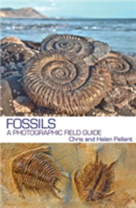 Fossils Fossils