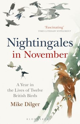 Nightingales in November Nightingales in November