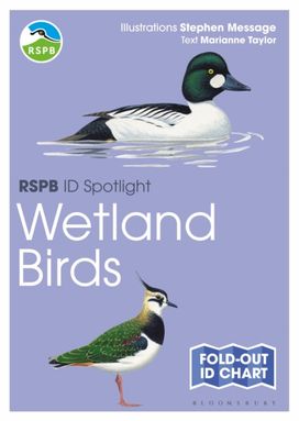 RSPB ID Spotlight - Wetland Birds RSPB ID Spotlight - Wetland Birds