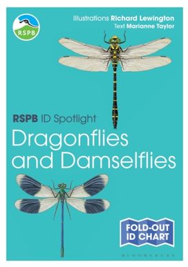 Rspb Id Spotlight - Dragonflies and Damselflies Rspb Id Spotlight - Dragonflies and Damselflies