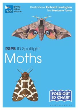 Rspb Id Spotlight - Moths Rspb Id Spotlight - Moths