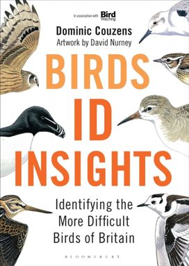 Birds: Id Insights Birds: Id Insights