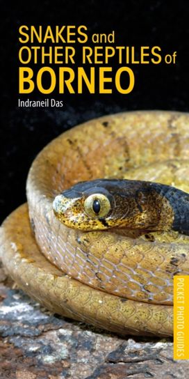 Snakes and Other Reptiles of Borneo Snakes and Other Reptiles of Borneo