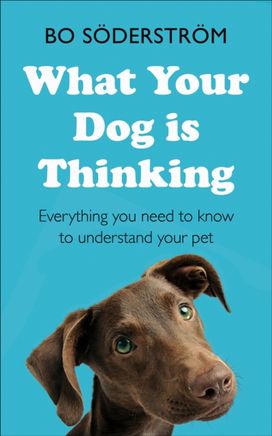 What Your Dog is Thinking What Your Dog is Thinking