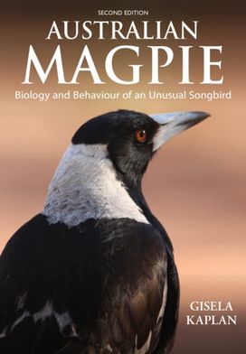 Australian Magpie Australian Magpie