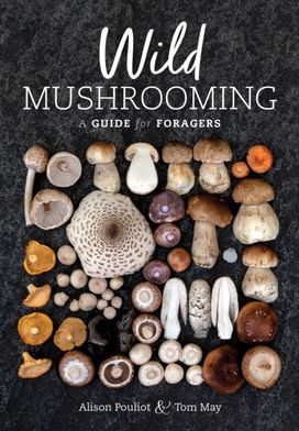 Wild Mushrooming Wild Mushrooming