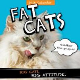 Fat Cats