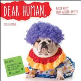Dear Human 2016 Wall Calendar