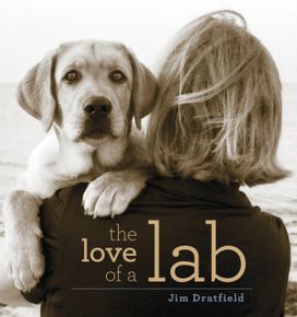 Love of a Lab