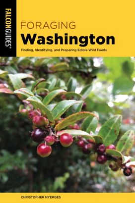 Foraging Washington Foraging Washington