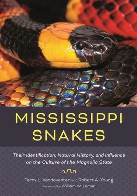 Mississippi Snakes Mississippi Snakes