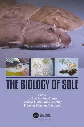 Biology of Sole Biology of Sole