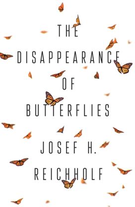 Disappearance of Butterflies