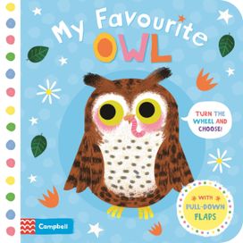 My Favourite Owl