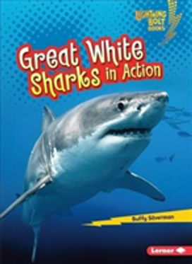 Great White Sharks in Action Great White Sharks in Action