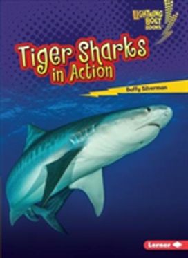 Tiger Sharks in Action Tiger Sharks in Action