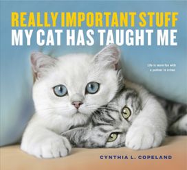 Really Important Stuff My Cat has Taught Me