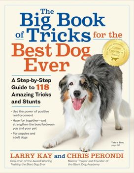 Big Book of Tricks for the Best Dog Ever Big Book of Tricks for the Best Dog Ever