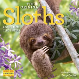 2019 Sloths Mini Wall Calendar