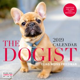 2019 the Dogist Wall Calendar 2019 the Dogist Wall Calendar