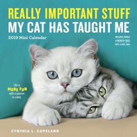 2019 Really Important Stuff My Cat has Taught Me Mini Wall Calendar