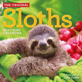 Original Sloths Mini Wall Calendar 2020