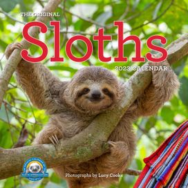 Original Sloths Wall Calendar 2023 Original Sloths Wall Calendar 2023