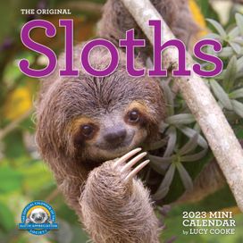 Original Sloths Mini Wall Calendar 2023 Original Sloths Mini Wall Calendar 2023
