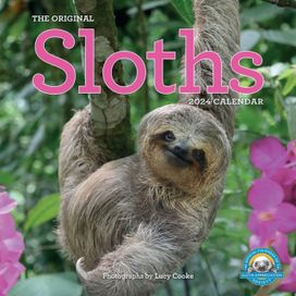Original Sloths Wall Calendar 2024 Original Sloths Wall Calendar 2024