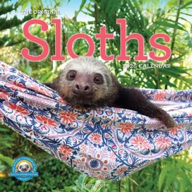 Original Sloths Wall Calendar 2026