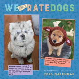 Weonlyratedogs 2023 Wall Calendar Weonlyratedogs 2023 Wall Calendar