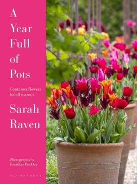 Year Full of Pots Year Full of Pots