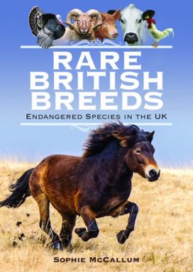 Rare British Breeds Rare British Breeds