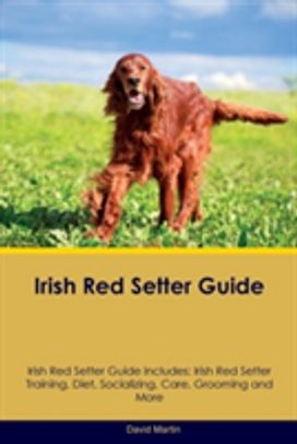 Irish Red Setter Guide Irish Red Setter Guide Includes Irish Red Setter Guide Irish Red Setter Guide Includes